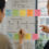 A Practical Framework for Testing Career Possibilities