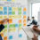 A Practical System for Evolving Your Professional Skills